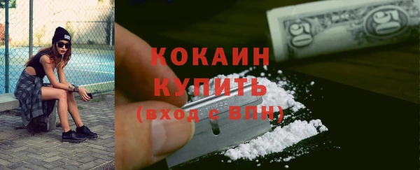 сатива Каменск-Шахтинский