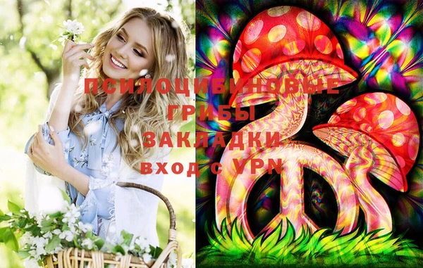 прущая мука Каменногорск