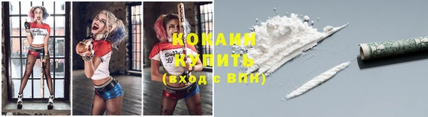 сатива Каменск-Шахтинский