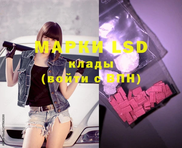 ECSTASY Каменка