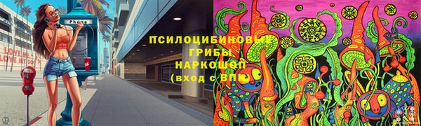 сатива Каменск-Шахтинский
