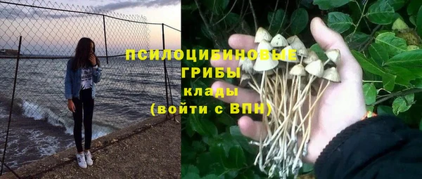 прущая мука Каменногорск