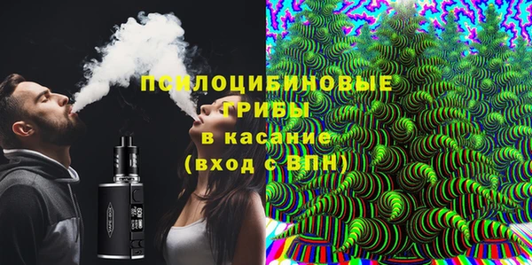сатива Каменск-Шахтинский