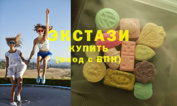 ECSTASY Каменка